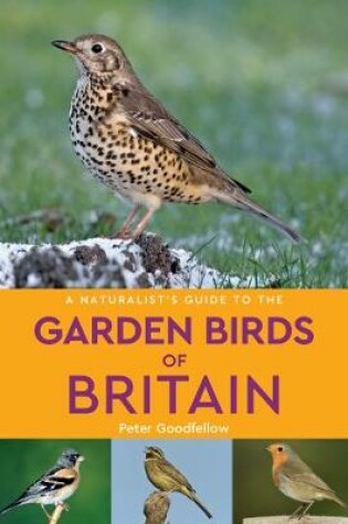 Cover of A Naturalist's Guide to the Garden Birds of Britain (2nd edition)