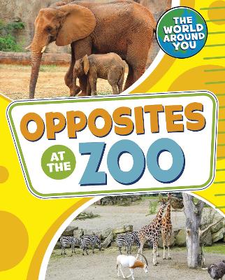 Cover of Opposites at the Zoo