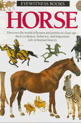 Cover of Horse