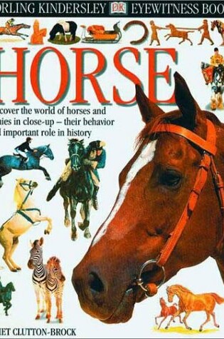 Cover of Horse
