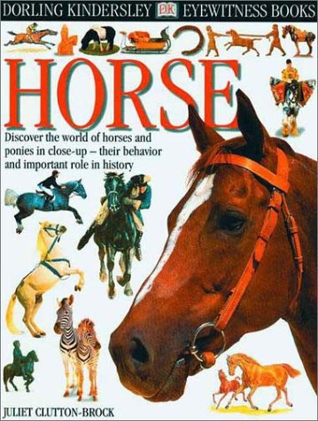 Cover of Horse