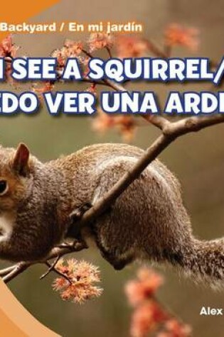 Cover of I See a Squirrel / Puedo Ver Una Ardilla