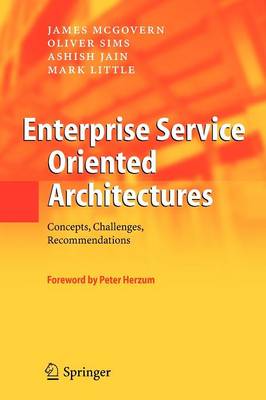 Book cover for Enterprise Service Oriented Architectures