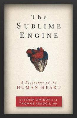 Book cover for The Sublime Engine