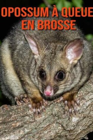 Cover of Opossum à Queue en Brosse