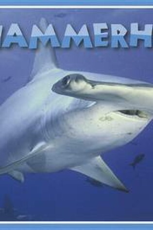 Cover of Hammerheads and More!
