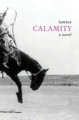 Cover of Calamity