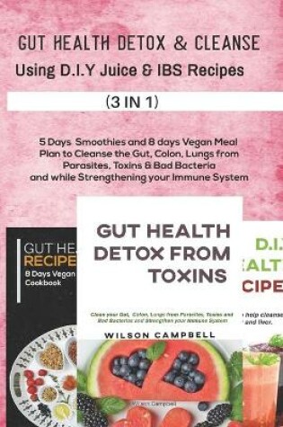 Cover of Gut Health Detox &cleanse Using D.I.Y Juice and Ibs Recipes