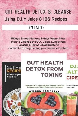 Book cover for Gut Health Detox &cleanse Using D.I.Y Juice and Ibs Recipes