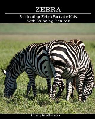 Book cover for Zebra