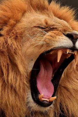 Book cover for Huge Lion Yawning Journal