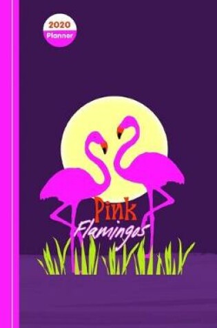 Cover of School Days Flamingo
