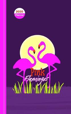 Book cover for School Days Flamingo
