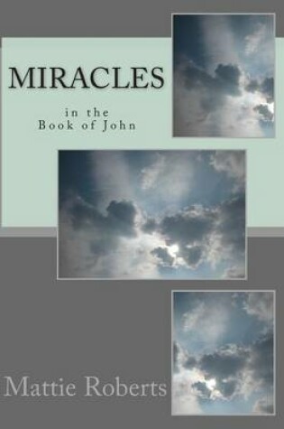 Cover of Miracles in the Book of John
