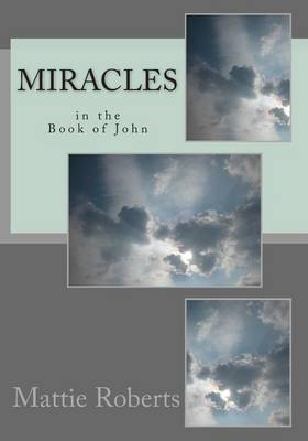 Book cover for Miracles in the Book of John