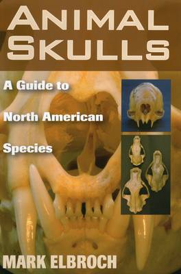 Book cover for Animal Skulls