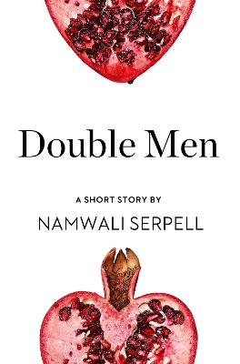 Book cover for Double Men