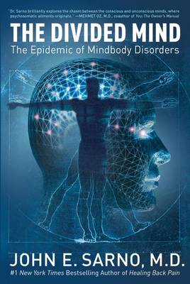 Book cover for The Divided Mind