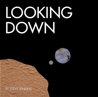 Book cover for Looking Down