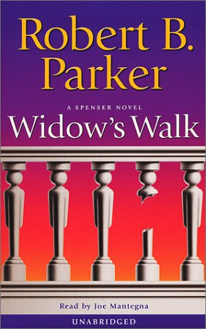 Book cover for Audio: Widow's Walk (Uab)