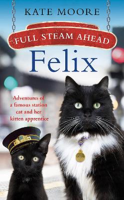 Book cover for Full Steam Ahead, Felix