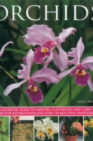 Cover of Orchids