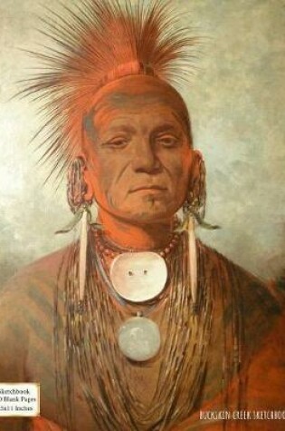 Cover of Sketchbook (Iowa Medicine Man by George Catlin)