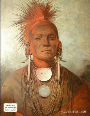 Book cover for Sketchbook (Iowa Medicine Man by George Catlin)