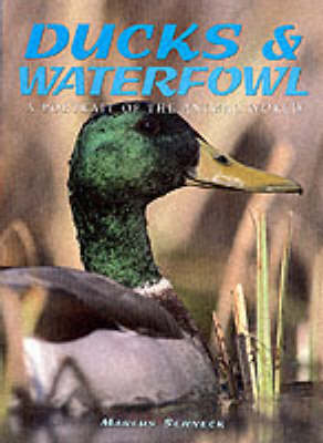 Book cover for Ducks and Waterfowl