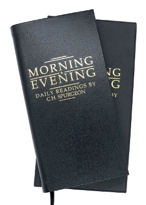 Book cover for Morning and evening Black leather
