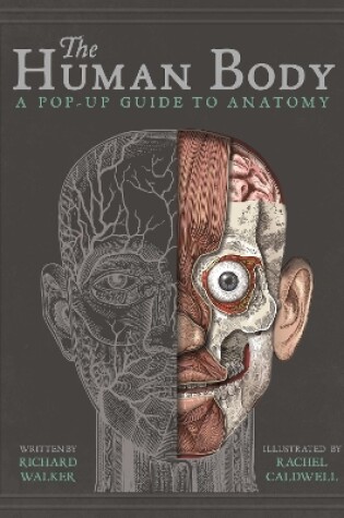 Cover of The Human Body