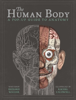 Book cover for The Human Body