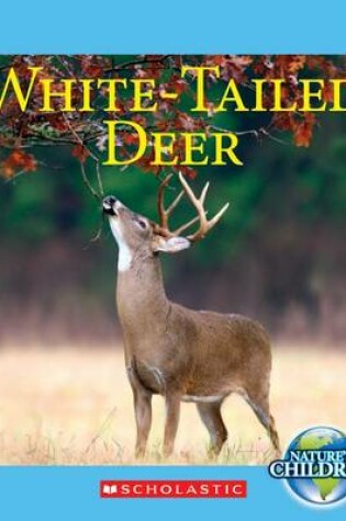 Cover of White-Tailed Deer