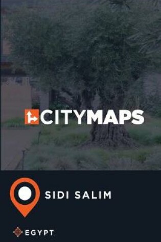 Cover of City Maps Sidi Salim Egypt