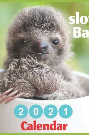 Cover of sloths Baby