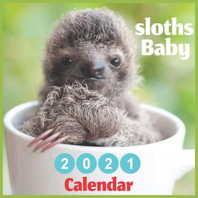 Book cover for sloths Baby