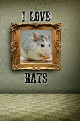 Cover of I Love Rats
