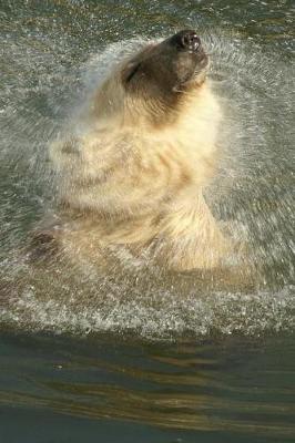 Book cover for Shake It Out Baby Polar Bear Notebook