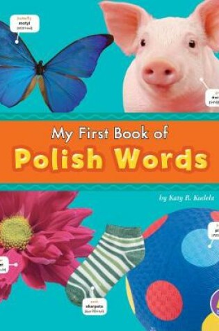 Cover of Polish Words