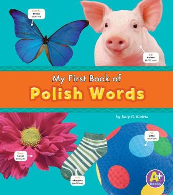 Cover of Polish Words