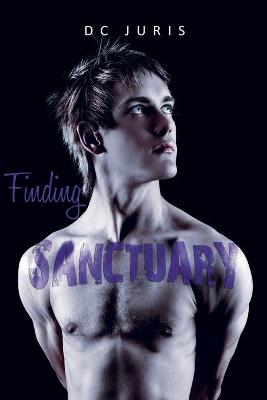 Book cover for Finding Sanctuary