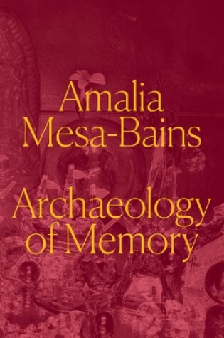 Cover of Amalia Mesa-Bains