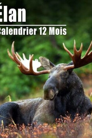 Cover of Calendrier 2021 Élan