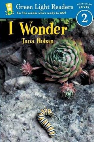 Cover of I Wonder