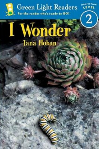 Cover of I Wonder