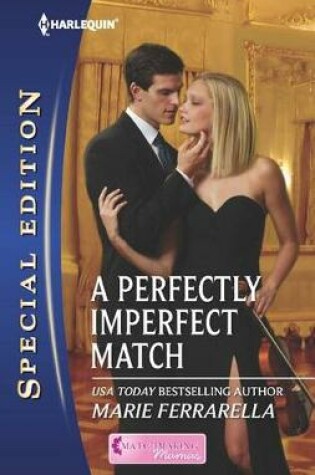 Cover of A Perfectly Imperfect Match