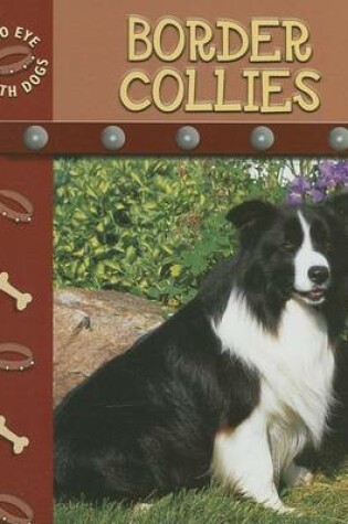 Cover of Border Collies