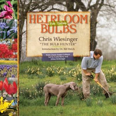 Cover of Heirloom Bulbs