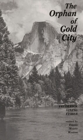 Book cover for The Orphan of Gold City