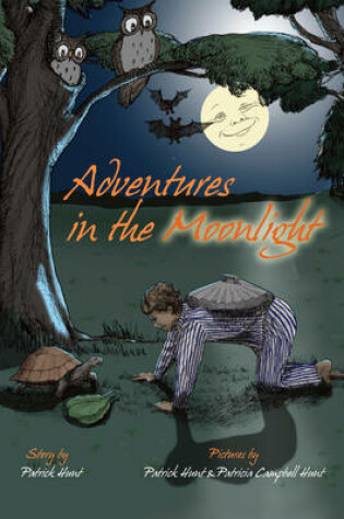 Cover of Adventures in the Moonlight